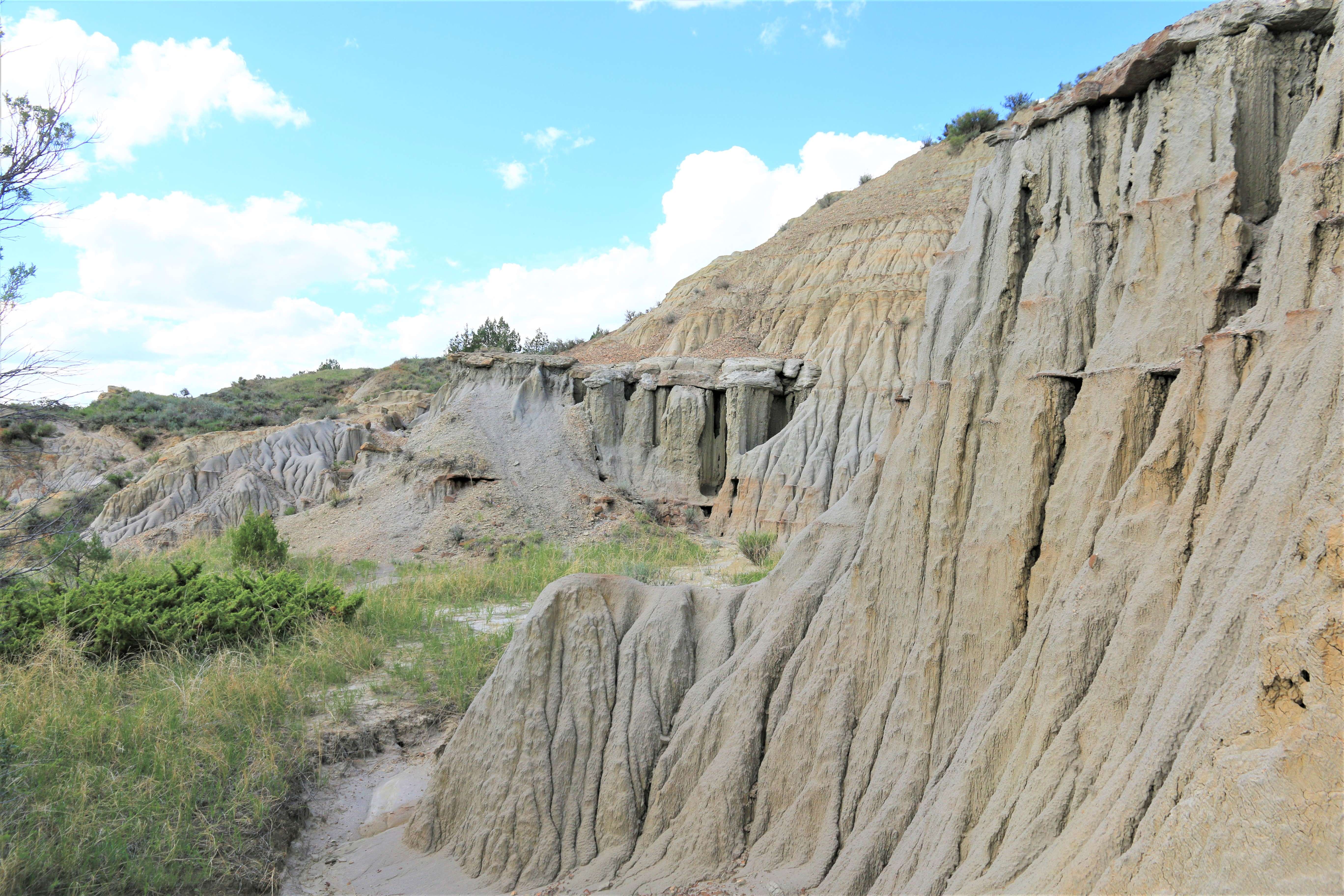 Theodore Roosevelt NP